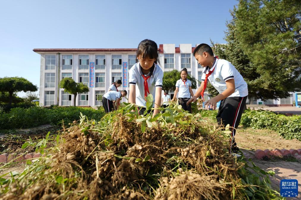 打鱼注册送分28元